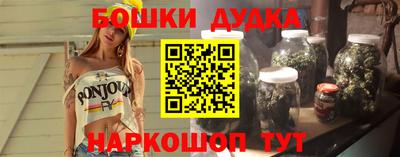 стаф Лесосибирск