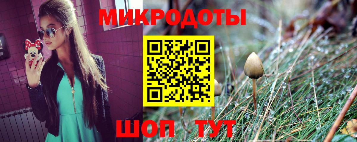 Галлюциногенные грибы прущие грибы Тула