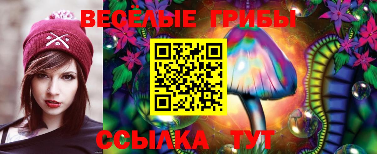 Галлюциногенные грибы Cubensis  Вход с VPN  Тула 